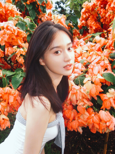 夏梦
