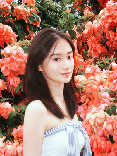 夏梦