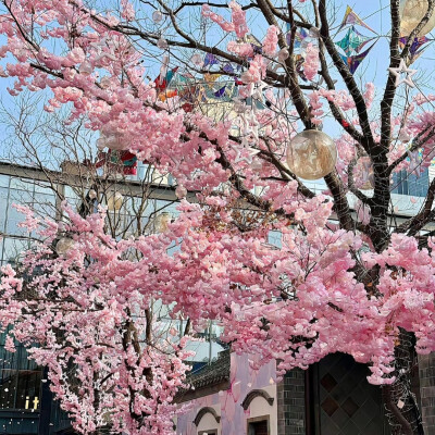 背景图