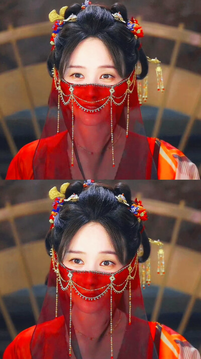 李一桐