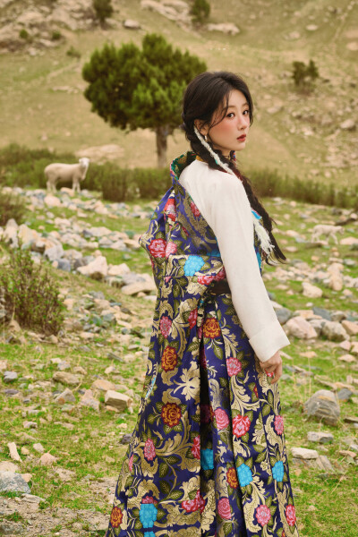 杨紫