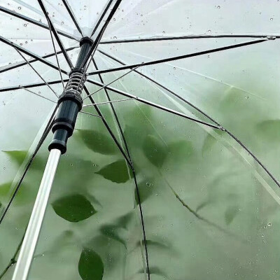 背景图