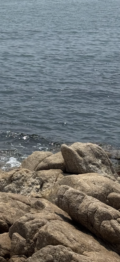海盹