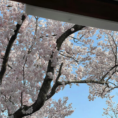 背景图