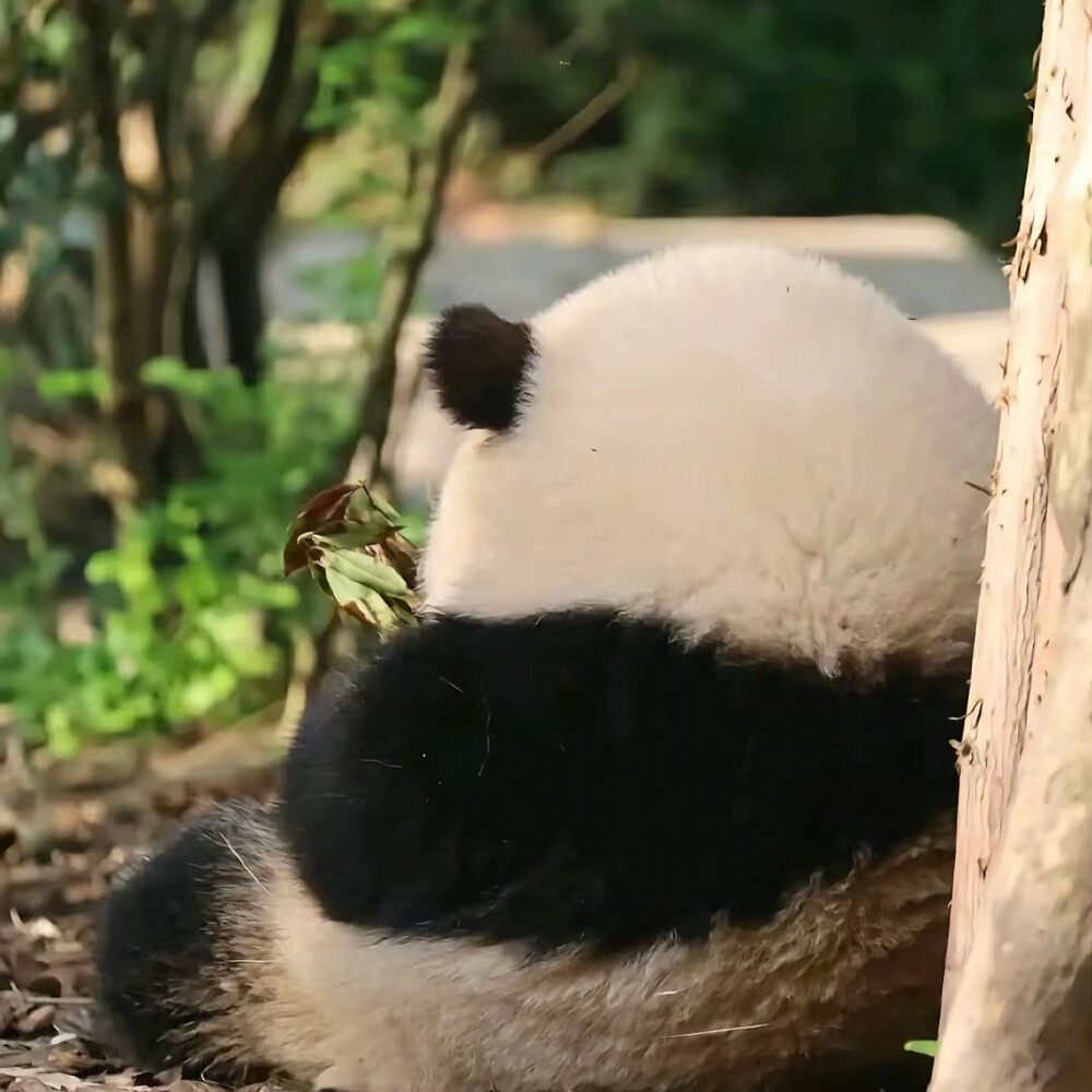 ～