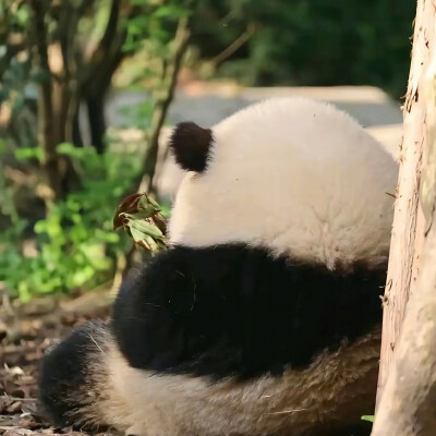 ～