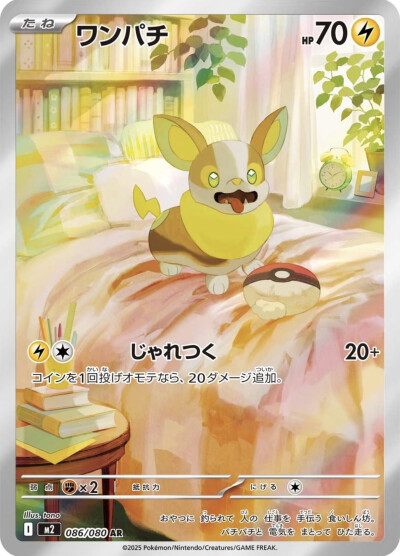 来电汪