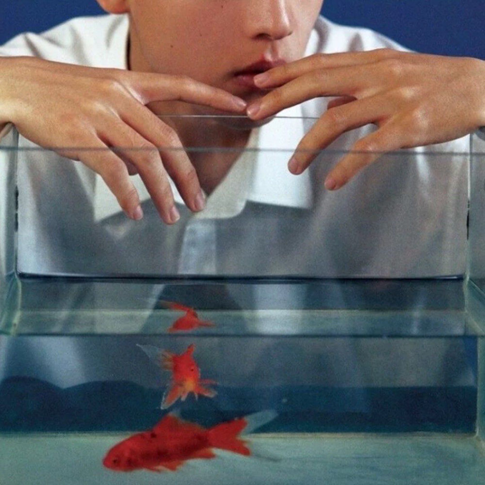 头像丨男头 人间小满胜万全