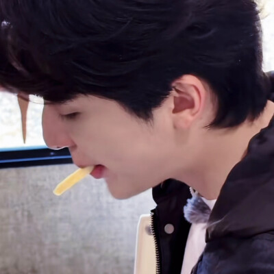 小狗进食