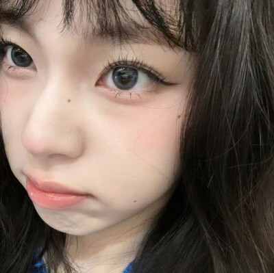张圭真