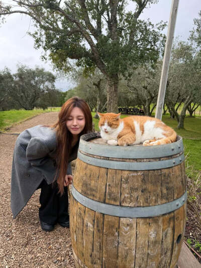 金志垣 liz