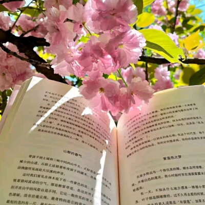 春天背景图