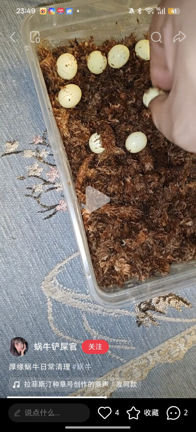 。