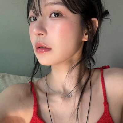 白知宪