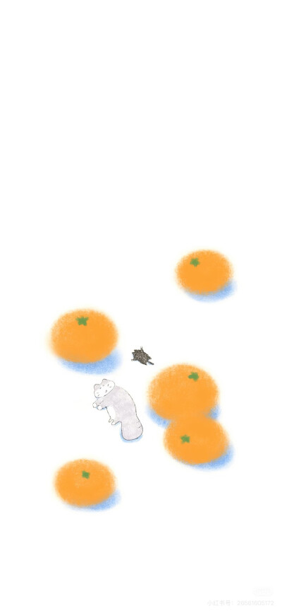 壁纸