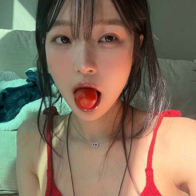 白知宪