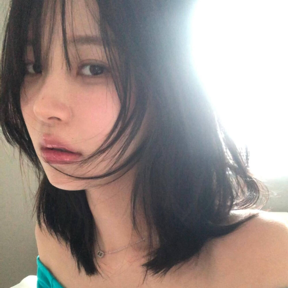白知宪