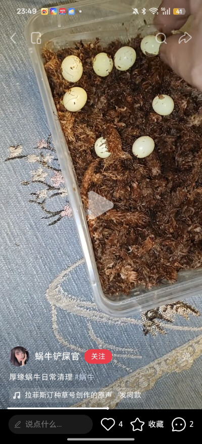 。