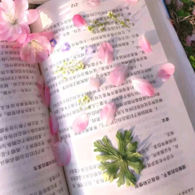 春天背景图