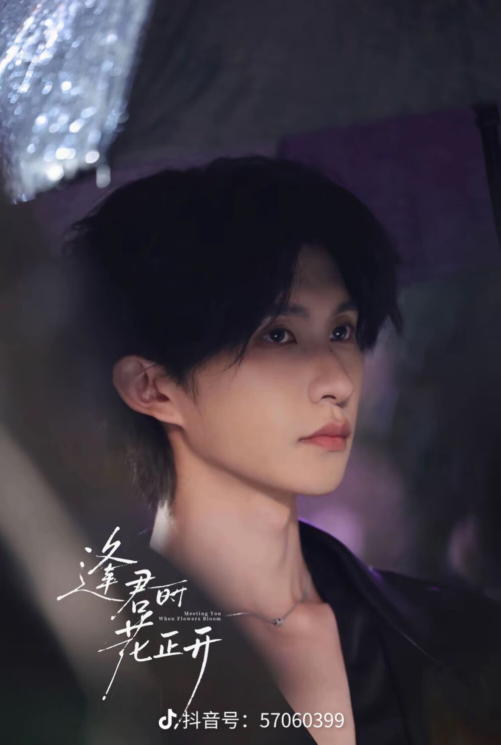 壁纸