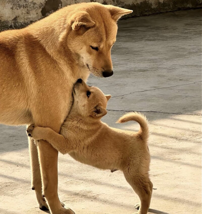 ～