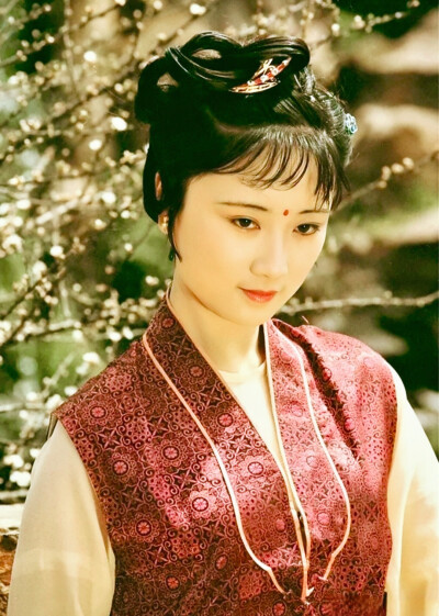 红楼梦美女姐姐