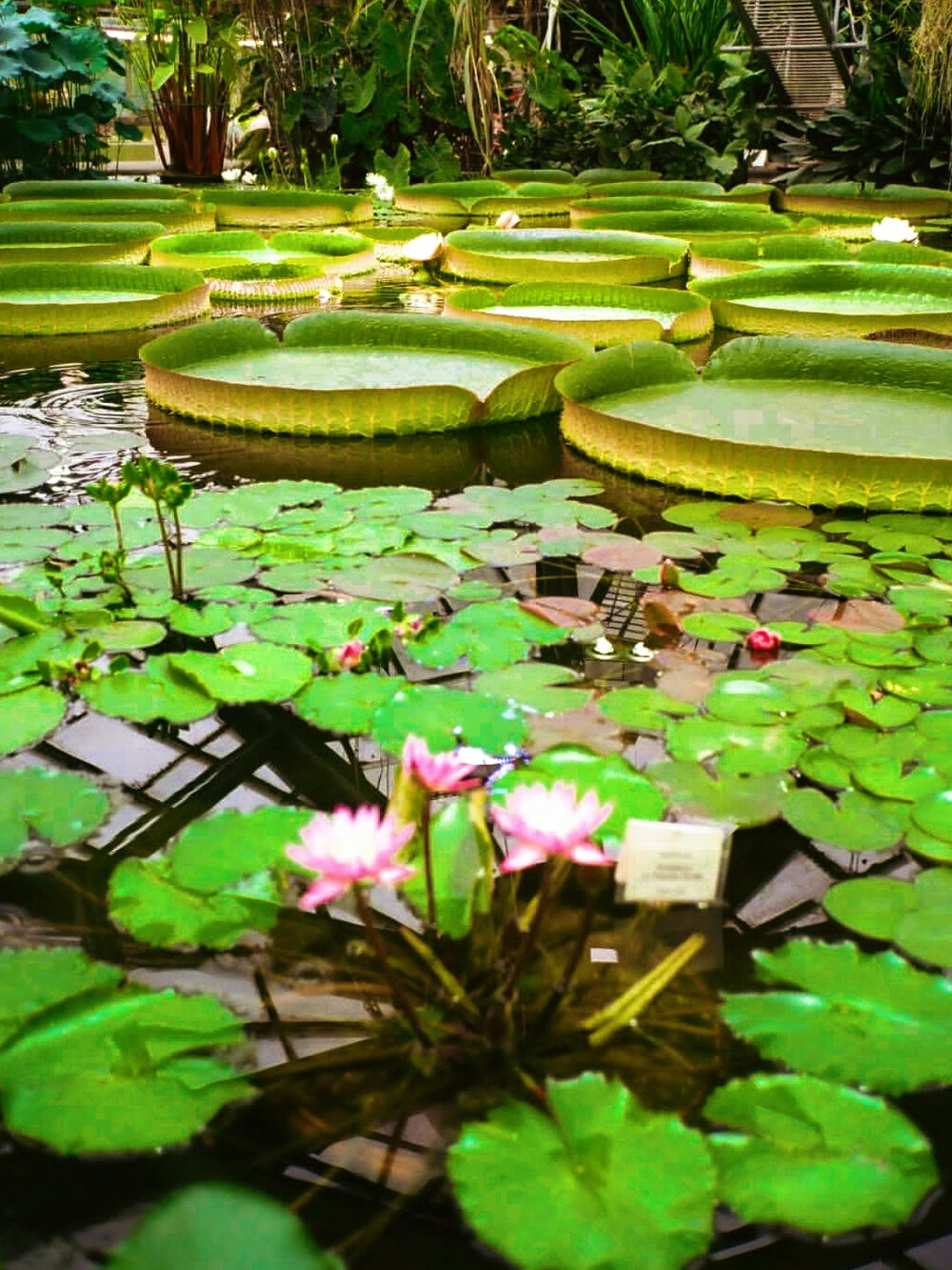 日常
雾屿