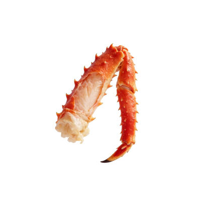 食物白底头像