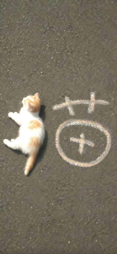 侵删
