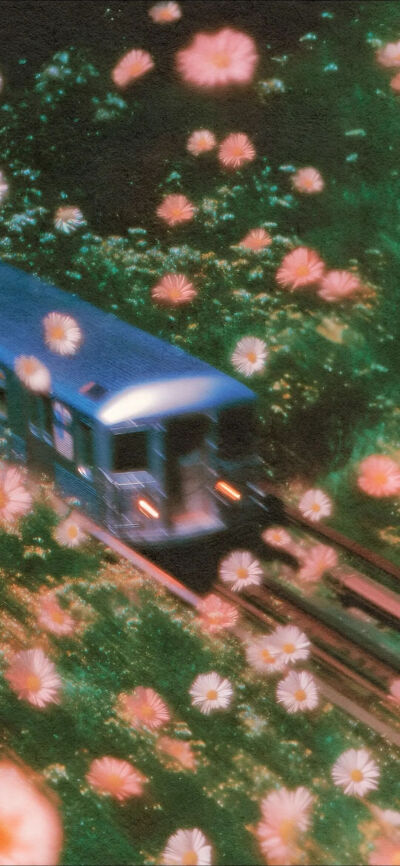 侵删