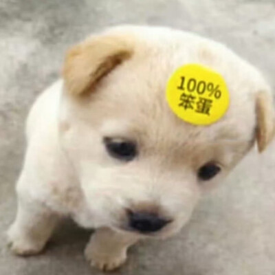 100%