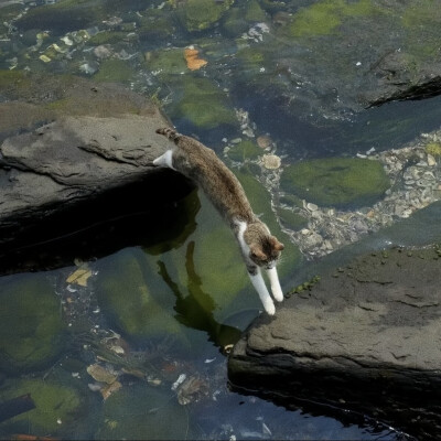 氛围感头像