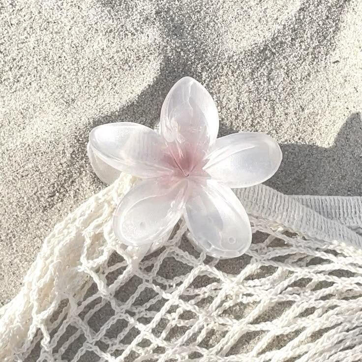 海洋粉色系