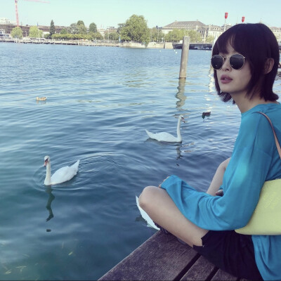 辛芷蕾