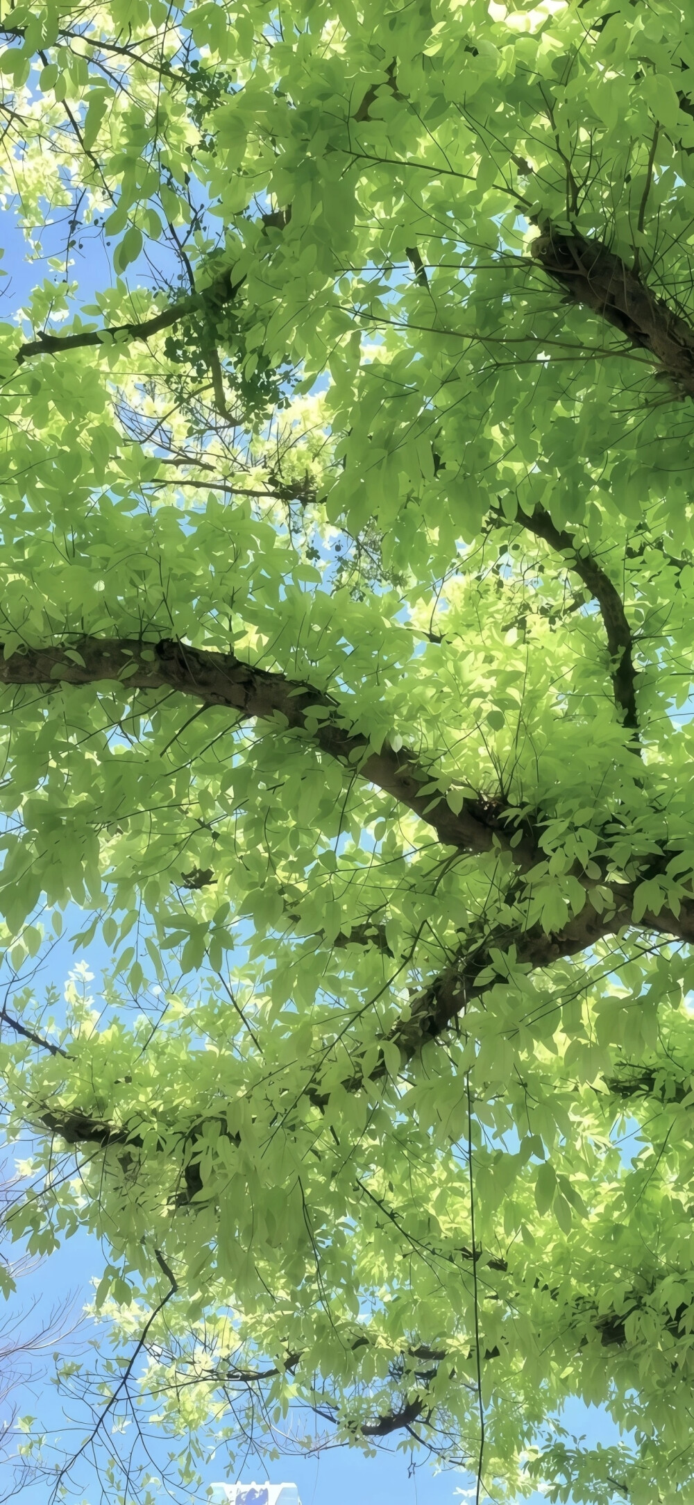 侵删