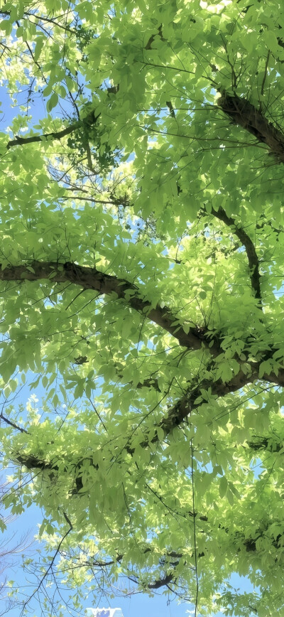侵删
