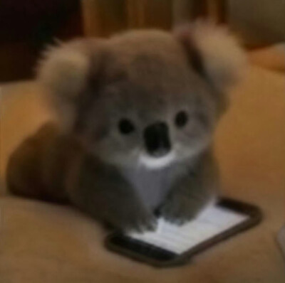(˶‾᷄ ⁻̫ ‾᷅˵)