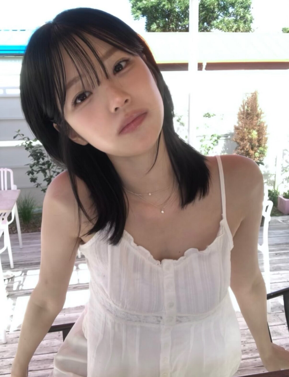 白知宪