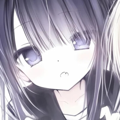 爱猫