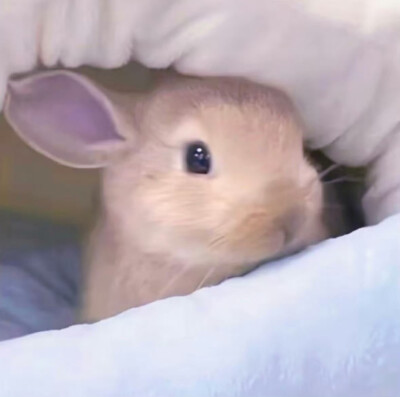 ^^;