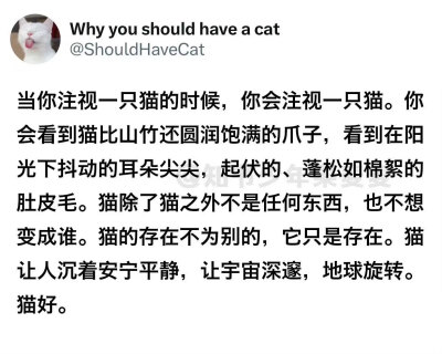 我保证我是个天使只是有点坏