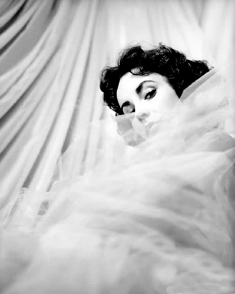 Elizabeth Taylor ​​​