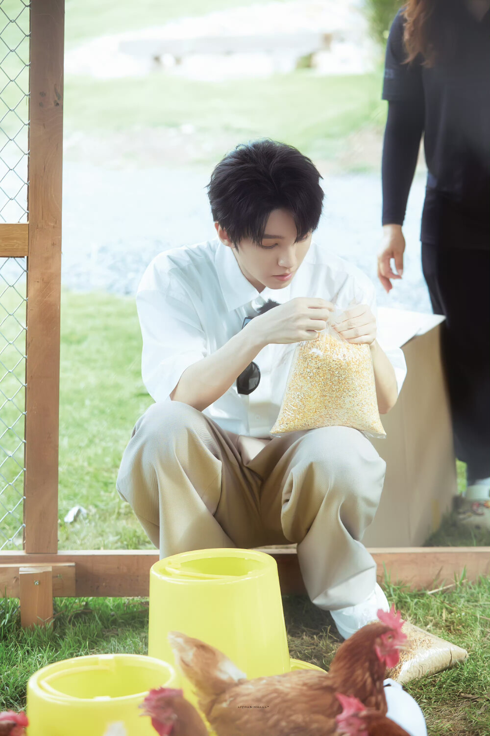 王俊凯