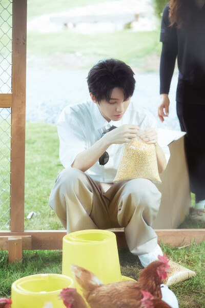 王俊凯