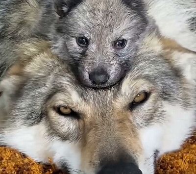 ～