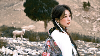 杨紫