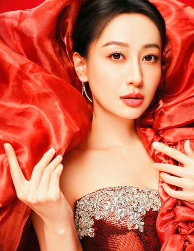 董维嘉