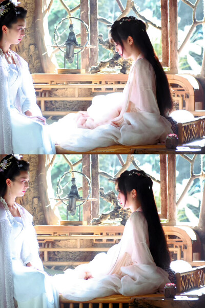 杨紫 