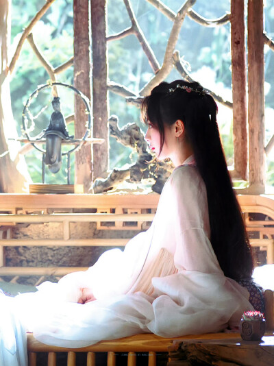 杨紫 