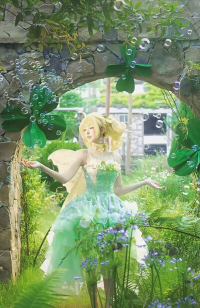 机智张